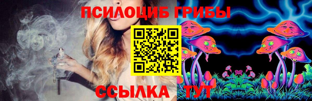 Галлюциногенные грибы Psilocybine cubensis Воткинск